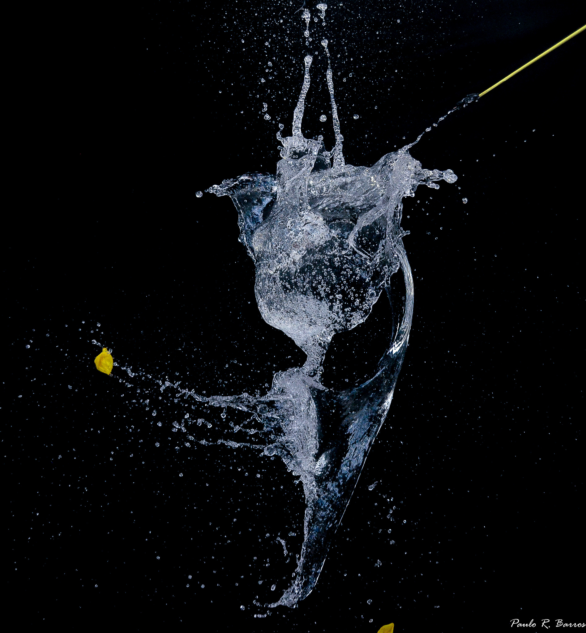 Desafio de Maio: Splash Photography