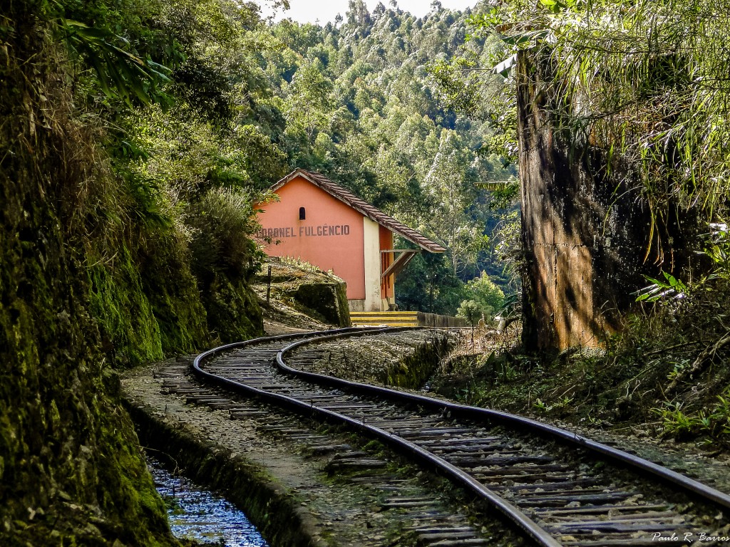 Portfólio de Julho: Paulo Barros