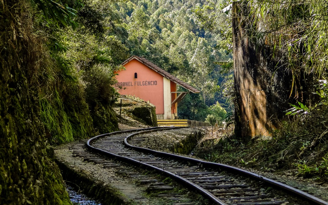 Portfólio de Julho: Paulo Barros